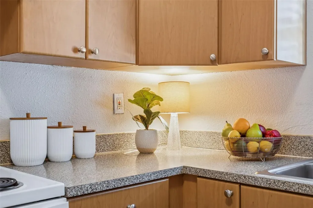 14421 Americana Circle Tampa FL 33613