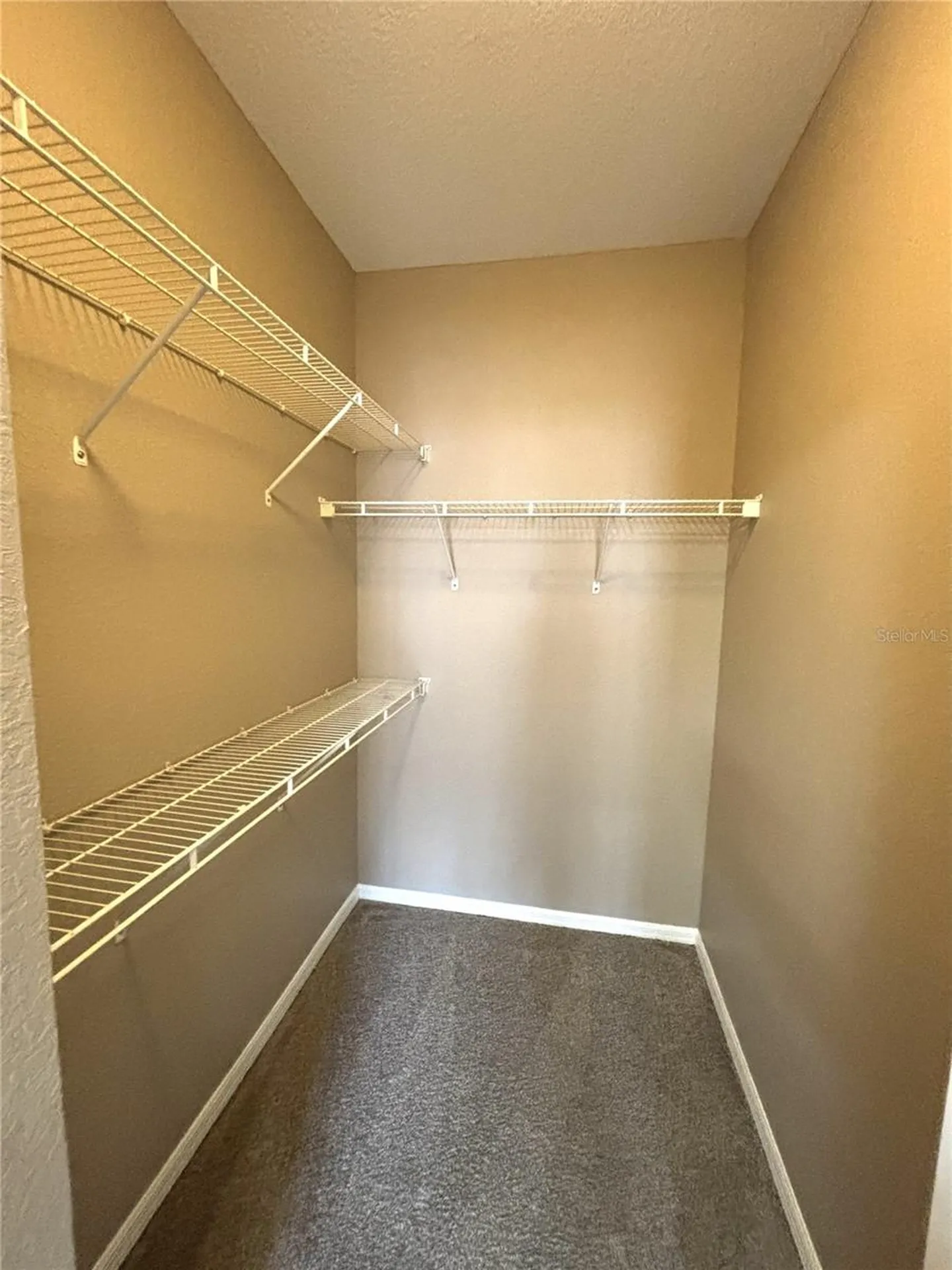 4221 W Spruce Street Tampa FL 33607