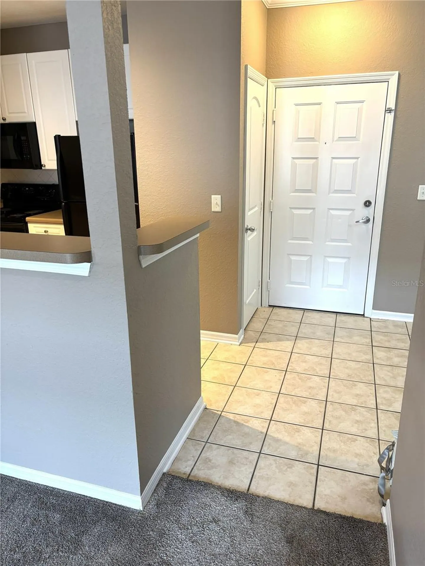 4221 W Spruce Street Tampa FL 33607
