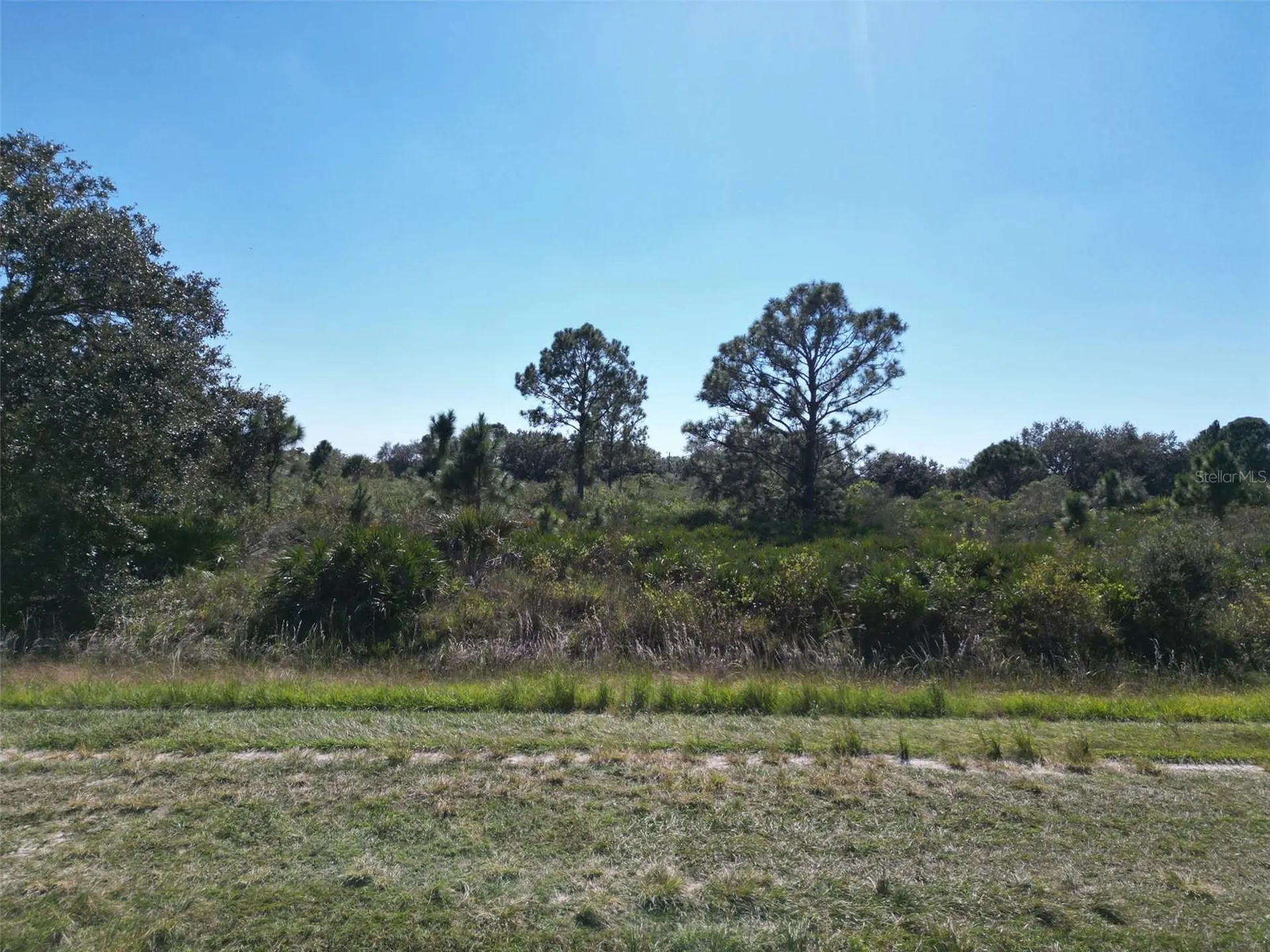 15031 NW 262nd Street Okeechobee FL 34972