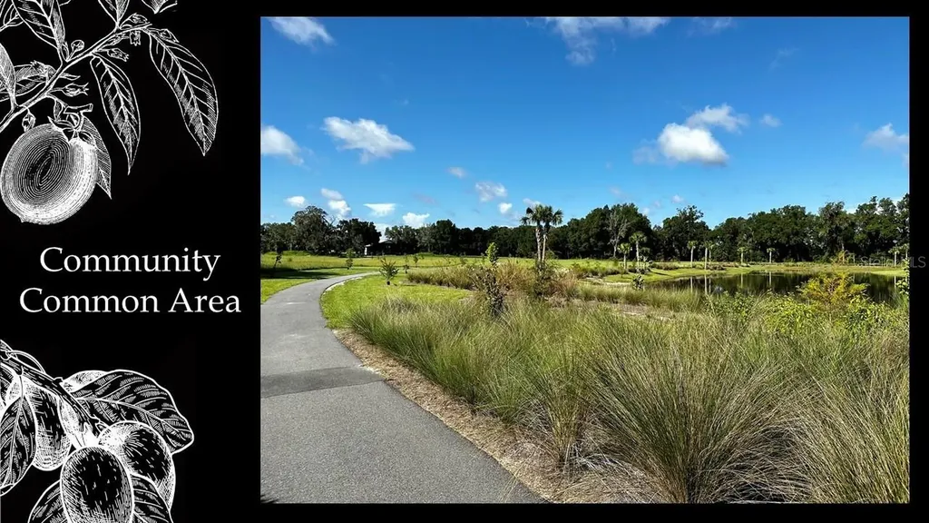 6195 SW 124th Way Archer FL 32618
