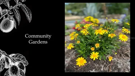 5486 SW 125th Circle Archer FL 32618