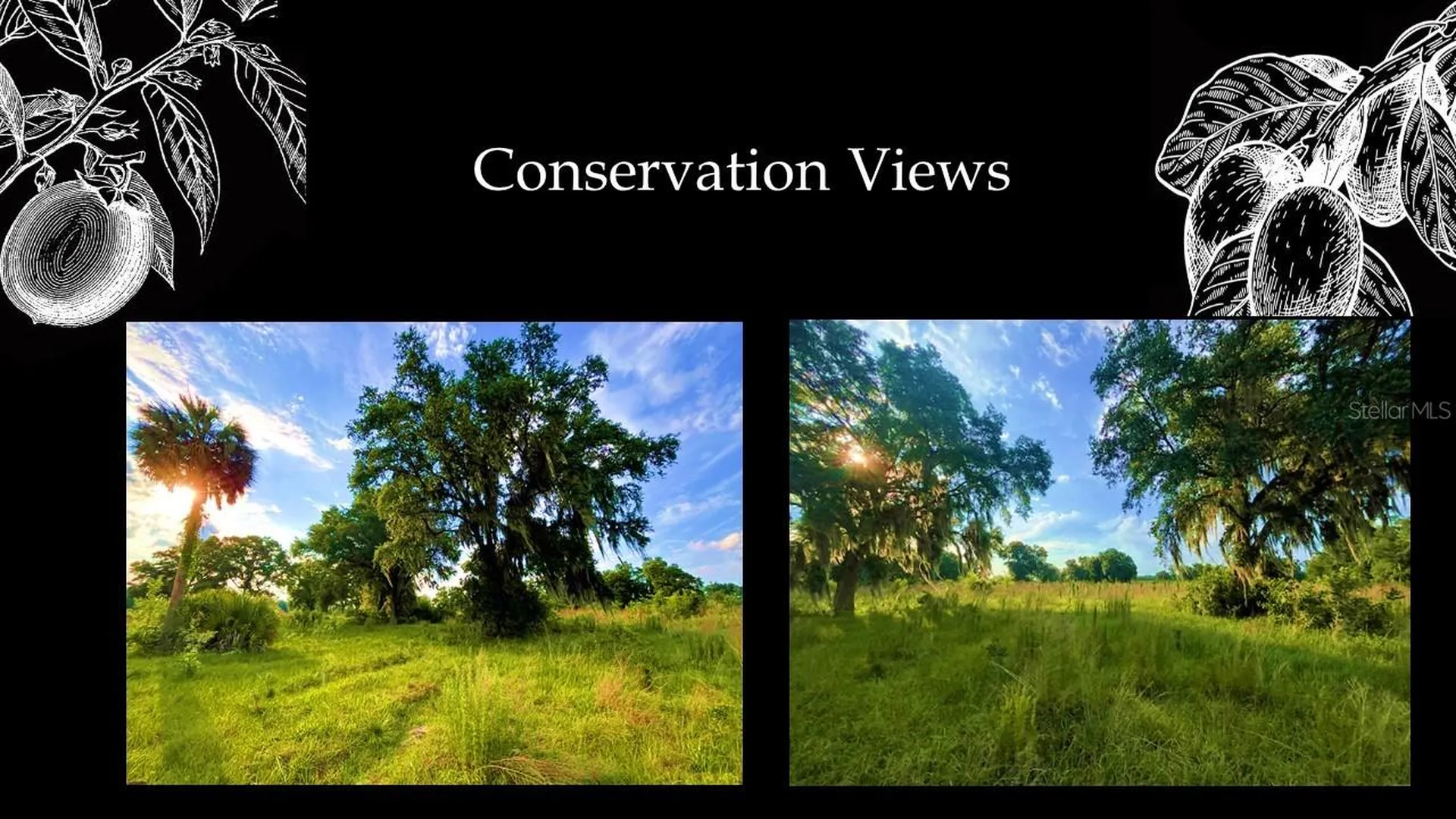 6137 SW 124th Way Archer FL 32618