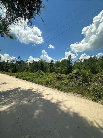 209TH Road Live Oak FL 32060