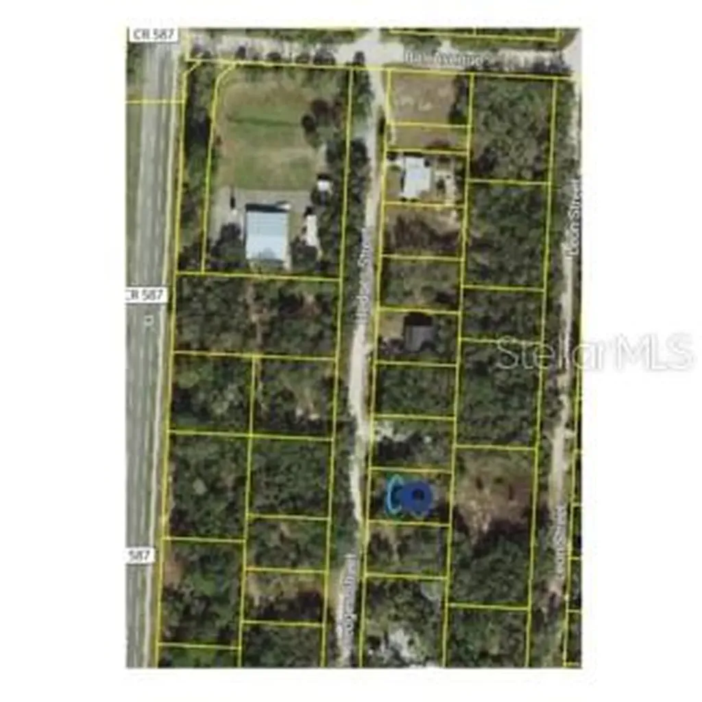 Hedges Street New Port Richey FL 34654