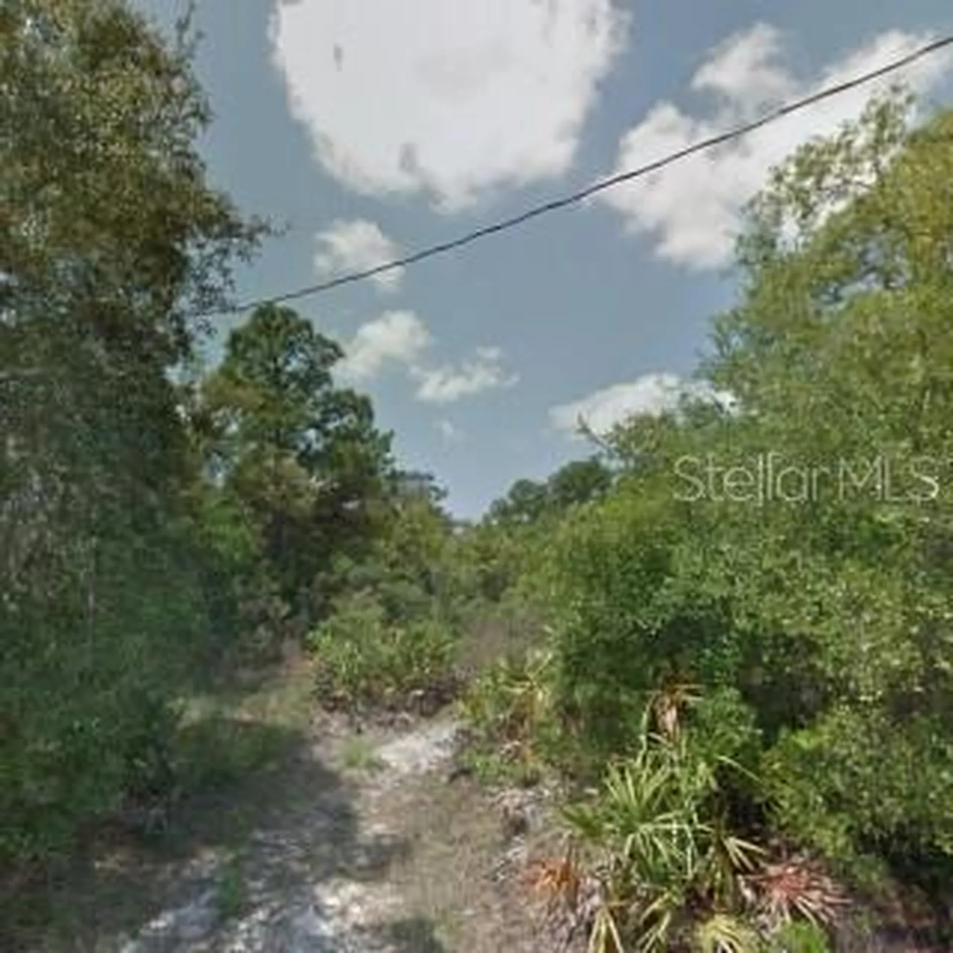 Hedges Street New Port Richey FL 34654