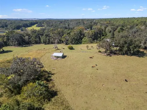 32854 Lister Road Dade City FL 33523