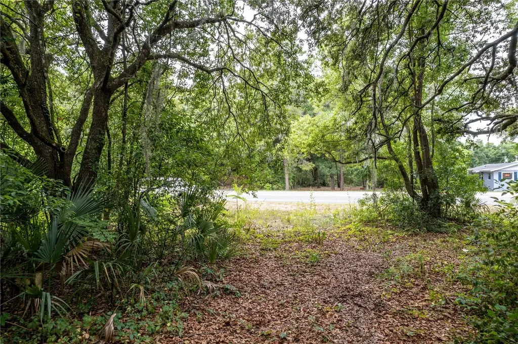 Sorrento Avenue Mount Plymouth FL 32776