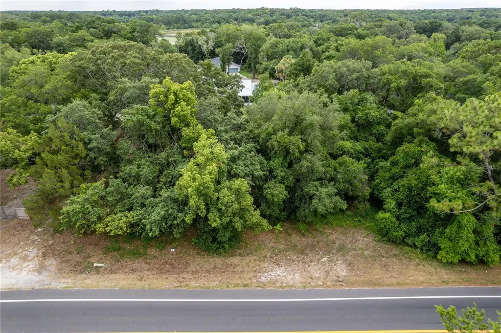 Sorrento Avenue Mount Plymouth FL 32776