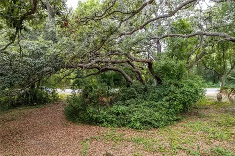 Sorrento Avenue Mount Plymouth FL 32776