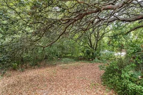 Sorrento Avenue Mount Plymouth FL 32776