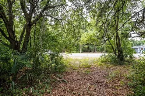Sorrento Avenue Mount Plymouth FL 32776