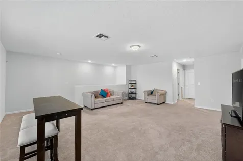 1015 Golden Shiner Avenue Ruskin FL 33570
