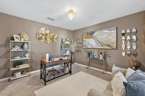 1015 Golden Shiner Avenue Ruskin FL 33570