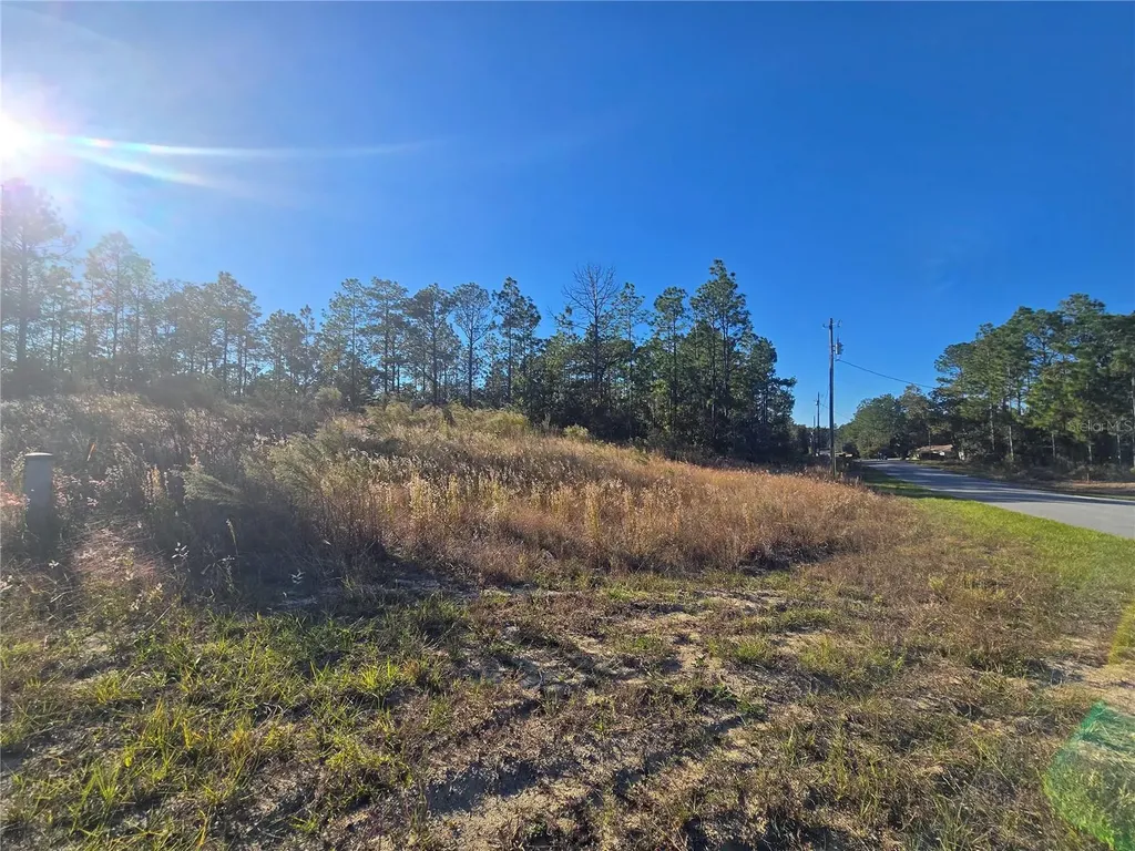 9388 N Old Mill Way Citrus Springs FL 34433