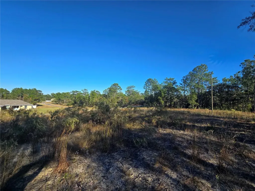 9388 N Old Mill Way Citrus Springs FL 34433