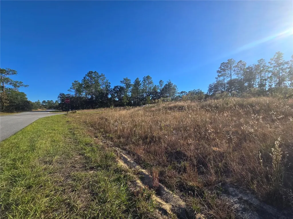 9388 N Old Mill Way Citrus Springs FL 34433