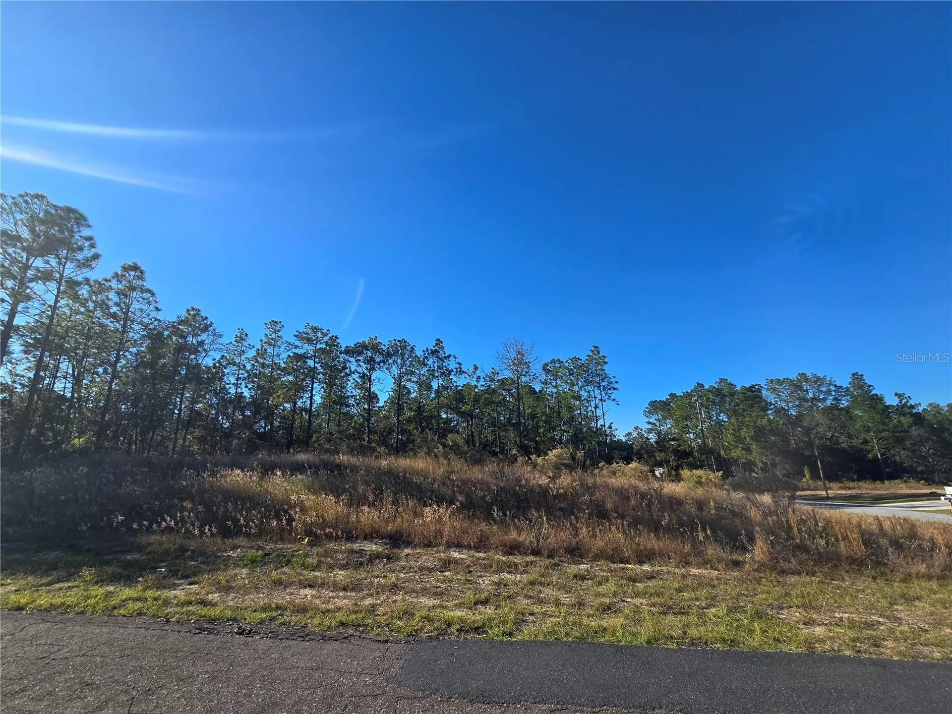 9388 N Old Mill Way Citrus Springs FL 34433