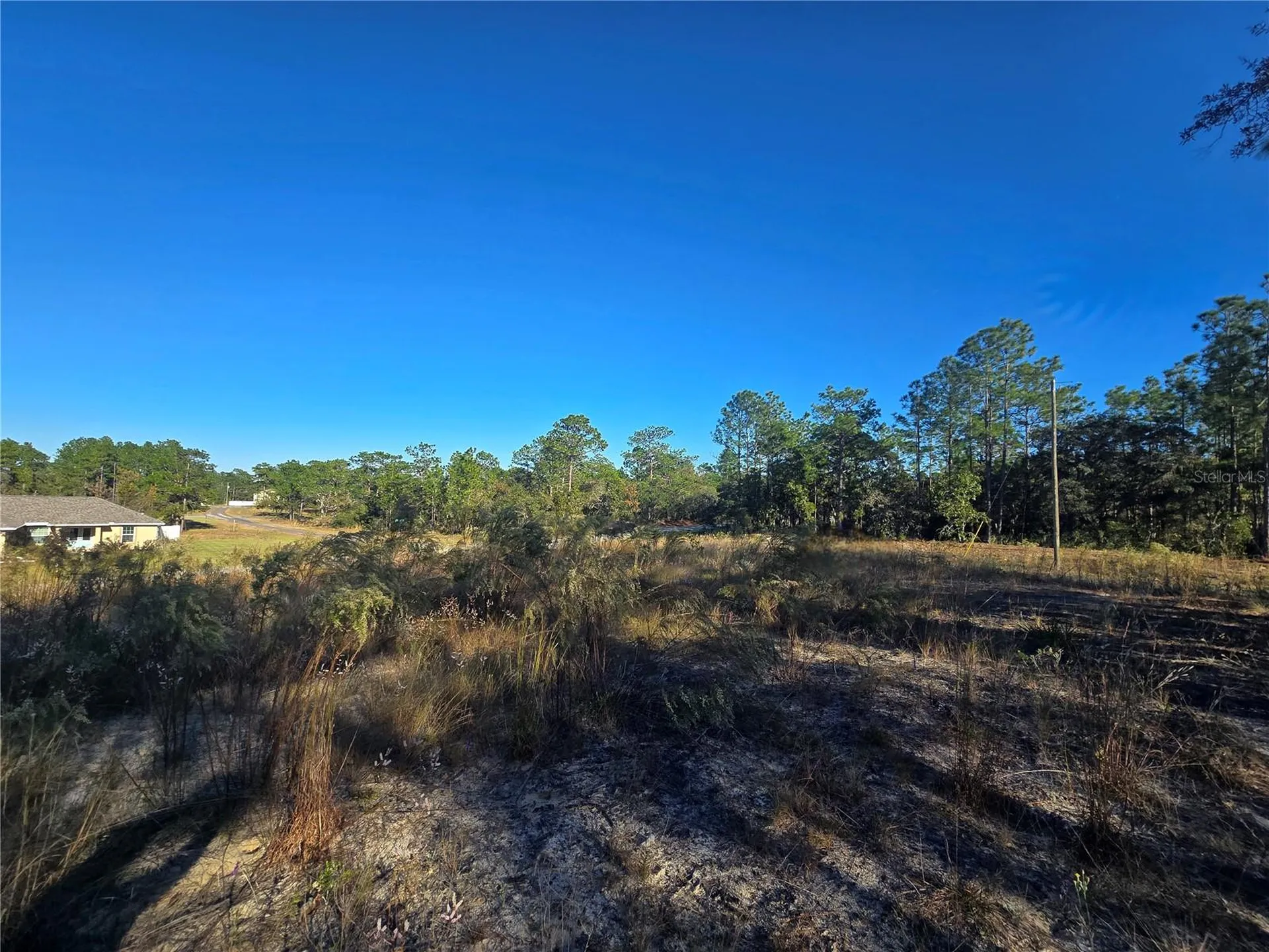 9388 N Old Mill Way Citrus Springs FL 34433