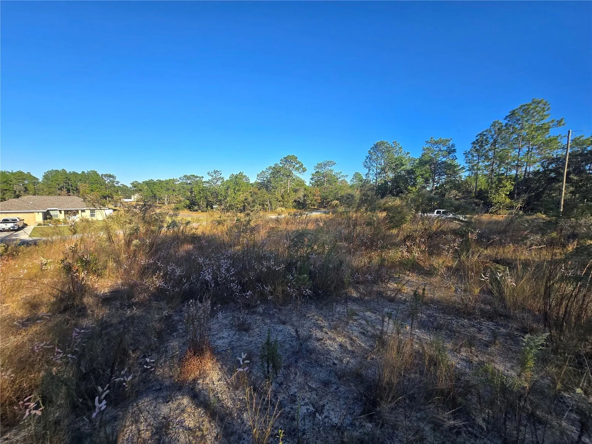 9388 N Old Mill Way Citrus Springs FL 34433