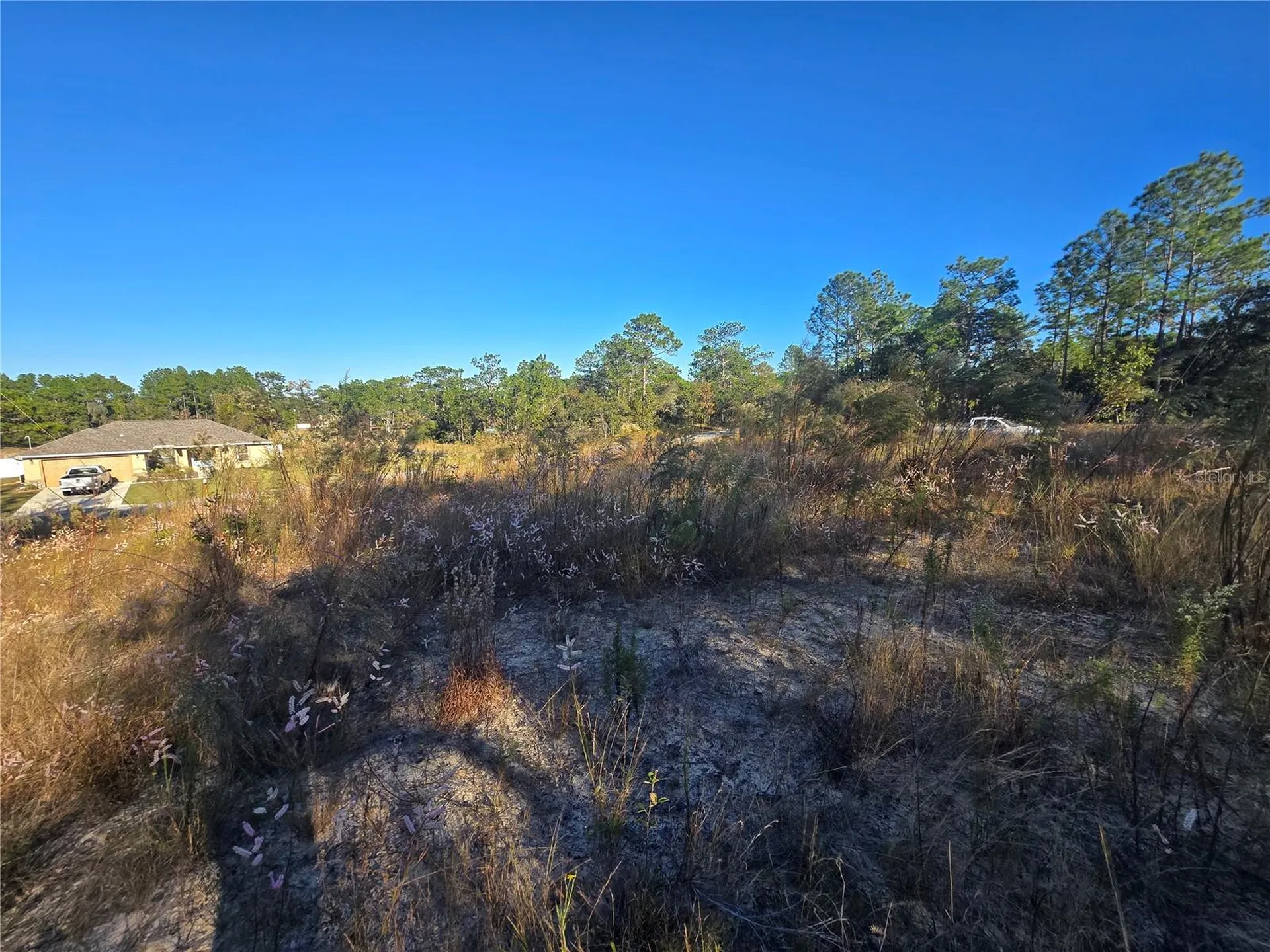 9388 N Old Mill Way Citrus Springs FL 34433