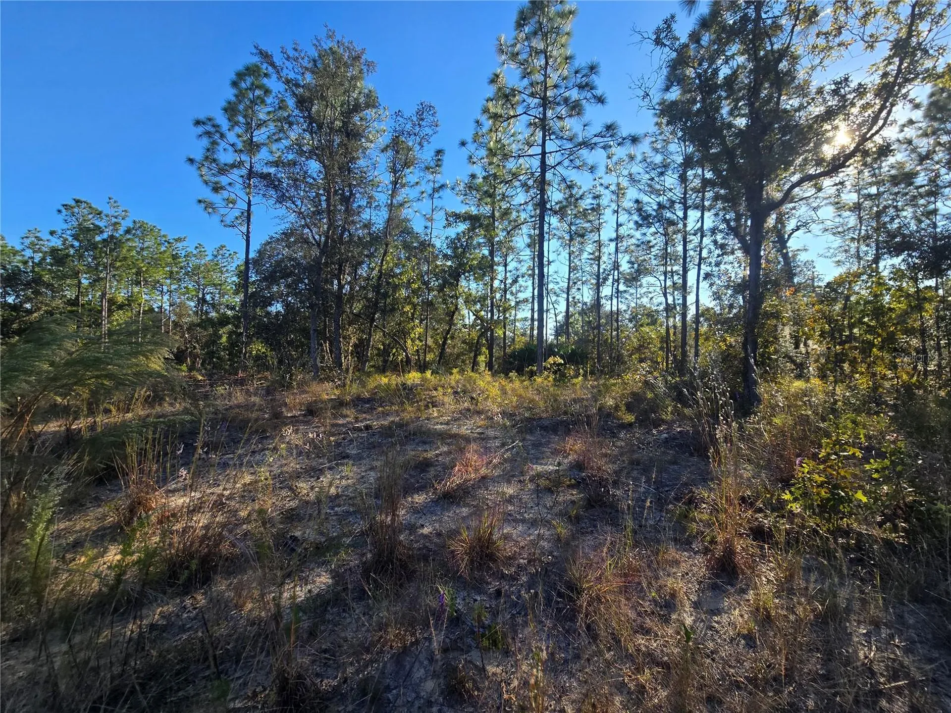 9388 N Old Mill Way Citrus Springs FL 34433