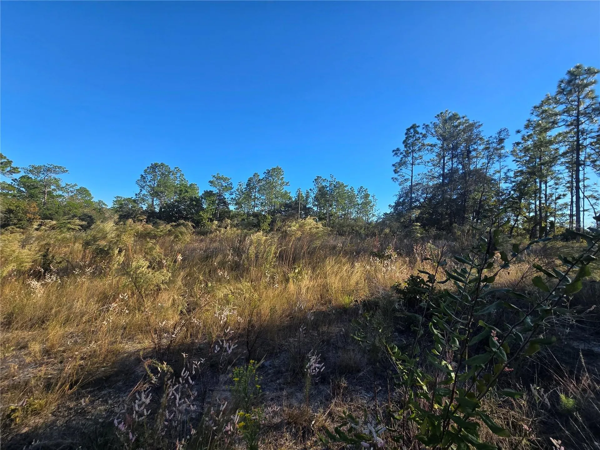 9388 N Old Mill Way Citrus Springs FL 34433