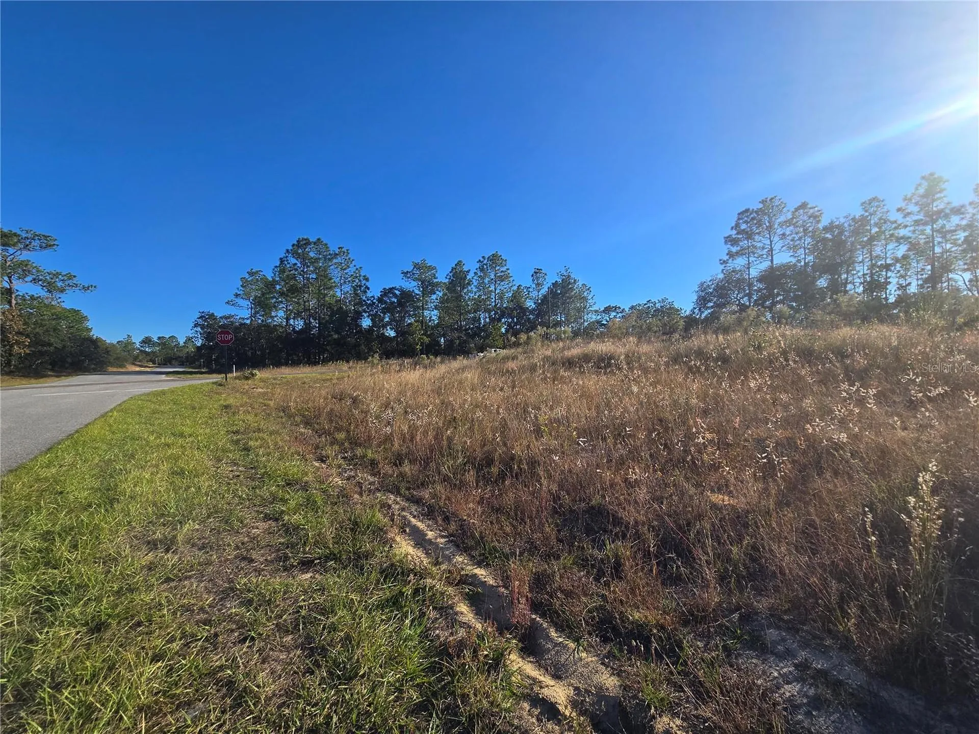 9388 N Old Mill Way Citrus Springs FL 34433