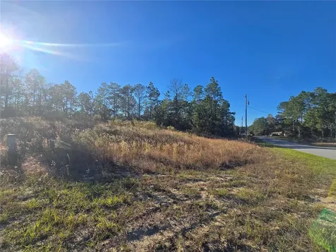 9388 N Old Mill Way Citrus Springs FL 34433
