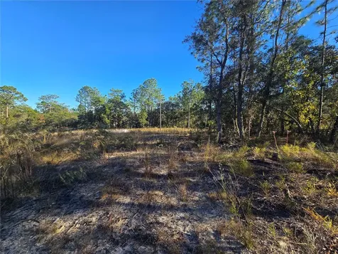 9388 N Old Mill Way Citrus Springs FL 34433