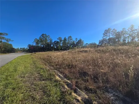 9388 N Old Mill Way Citrus Springs FL 34433