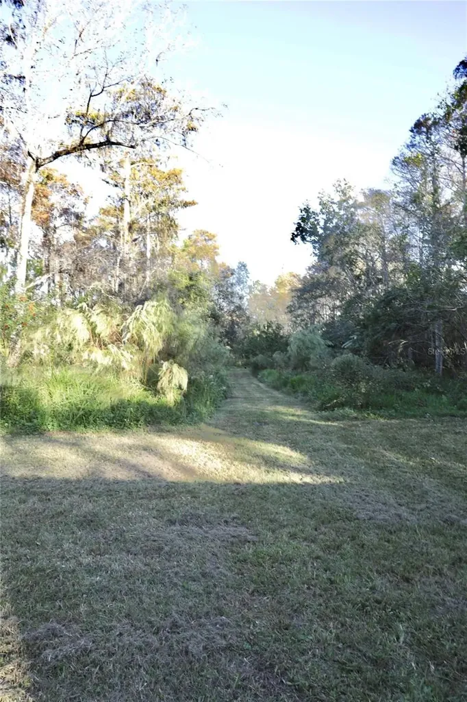 1605 8th Street Orlando FL 32820