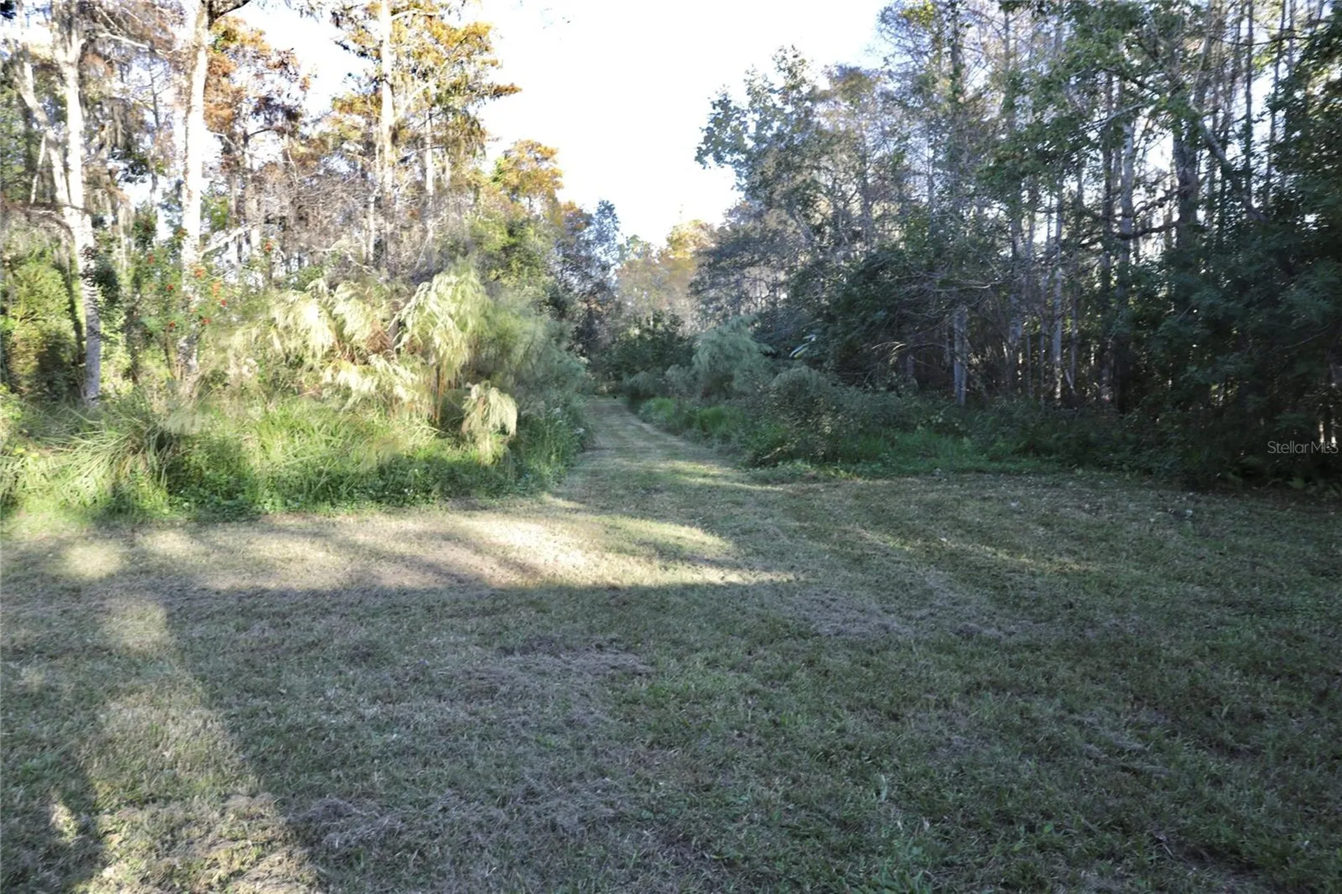 1605 8th Street Orlando FL 32820