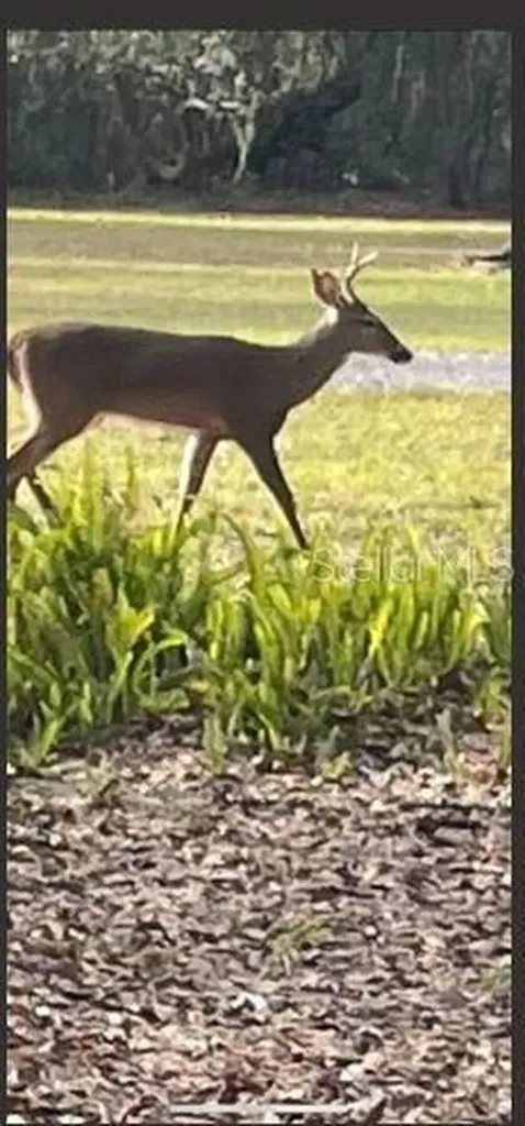 2203 Hidden Pond Road Plant City FL 33565