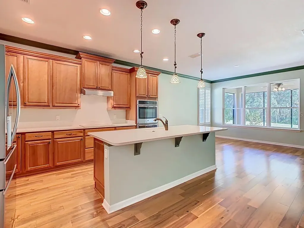 543 Via Vitale Court Kissimmee FL 34759