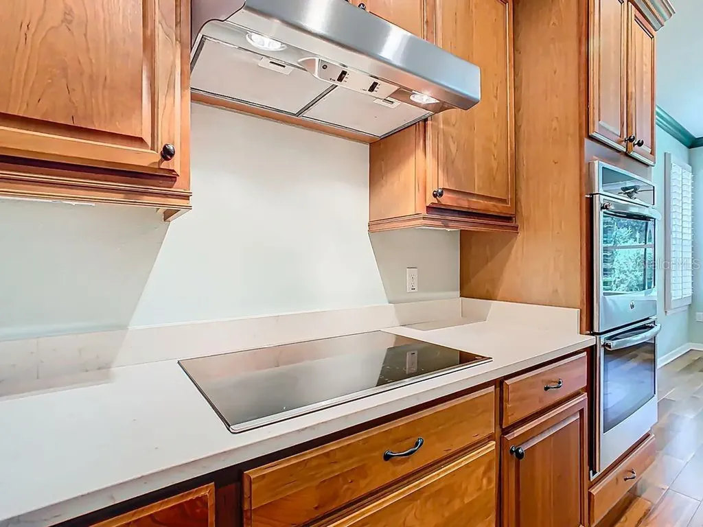 543 Via Vitale Court Kissimmee FL 34759