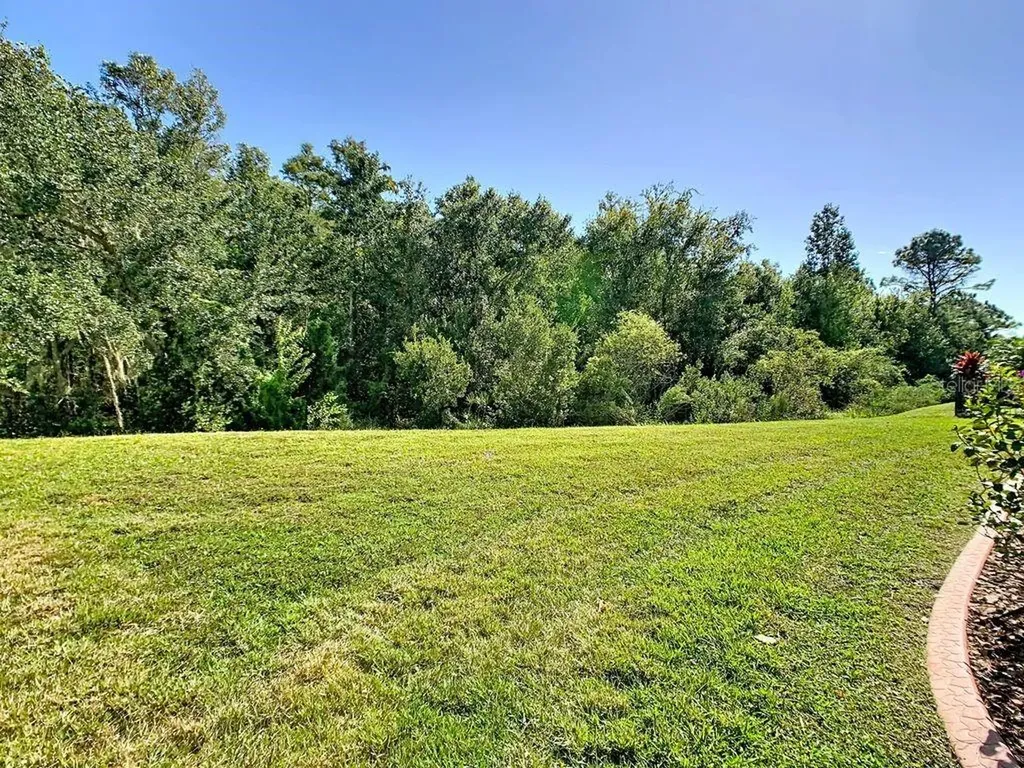 543 Via Vitale Court Kissimmee FL 34759