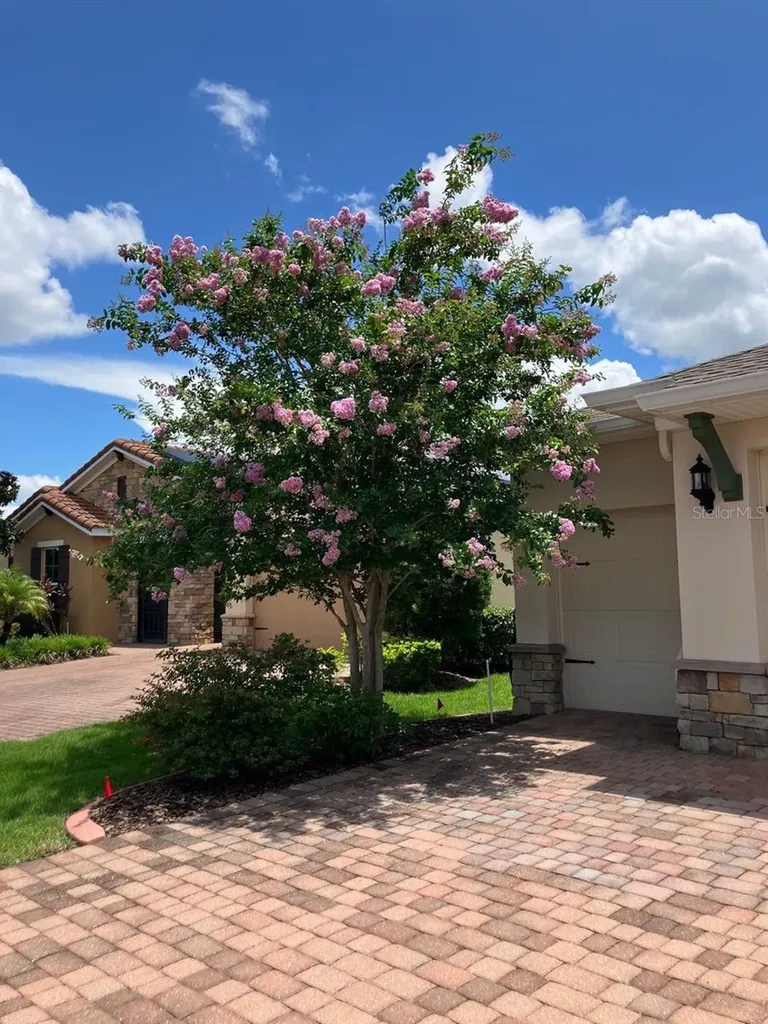 543 Via Vitale Court Kissimmee FL 34759