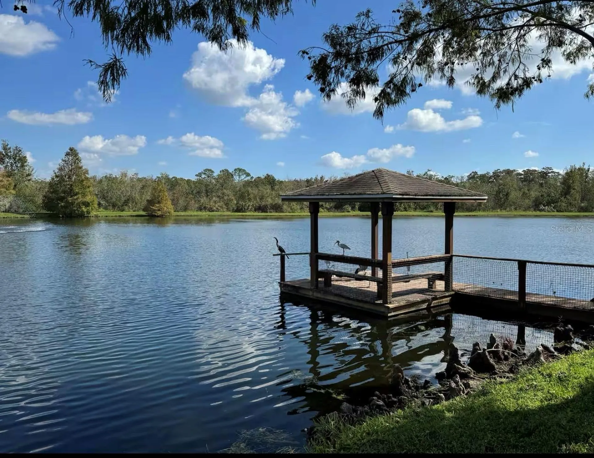 4563 Yellowgold Road E Kissimmee FL 34746