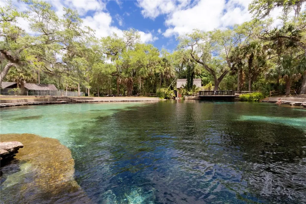 5860 SE 183rd Terrace Ocklawaha FL 32179