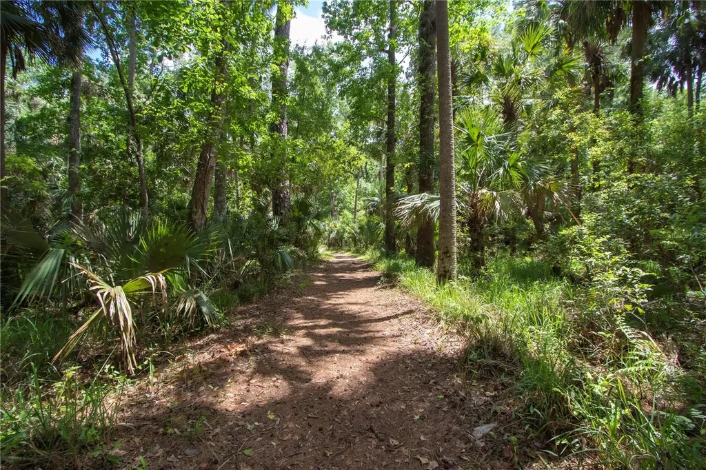 5860 SE 183rd Terrace Ocklawaha FL 32179