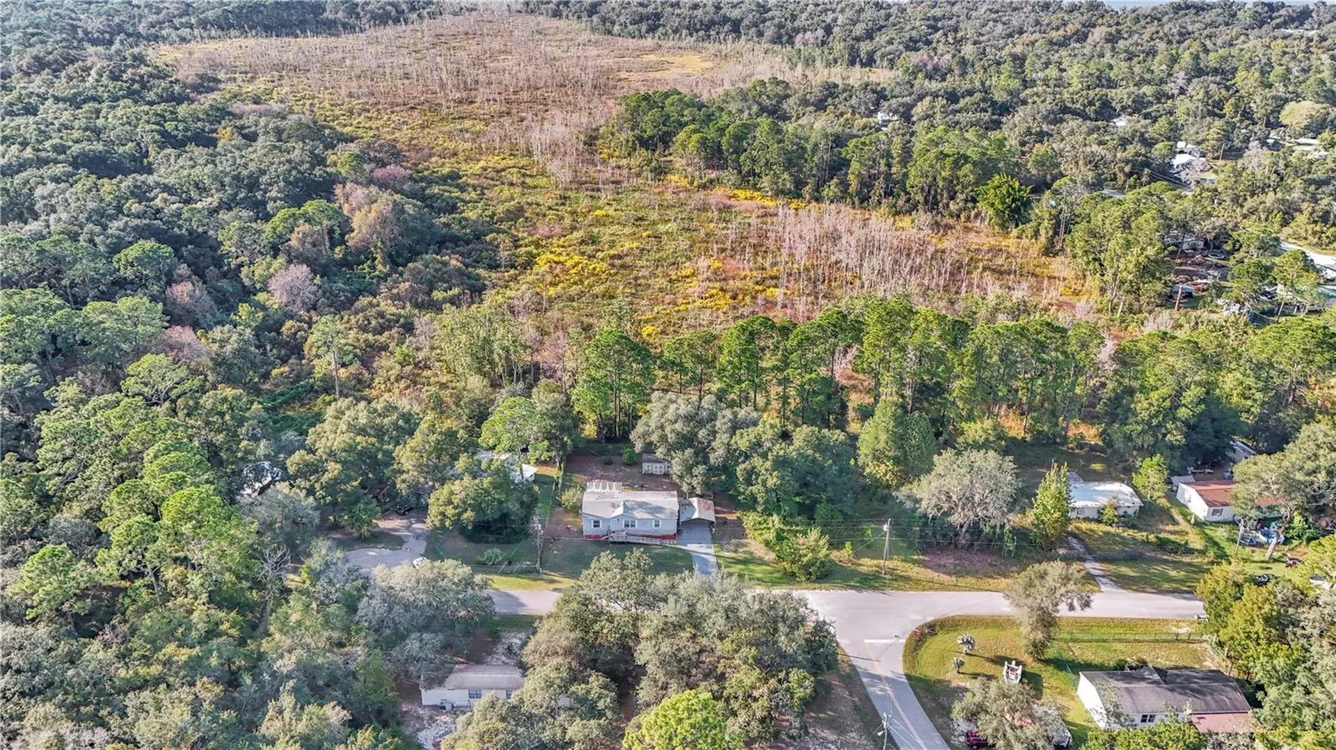 5860 SE 183rd Terrace Ocklawaha FL 32179