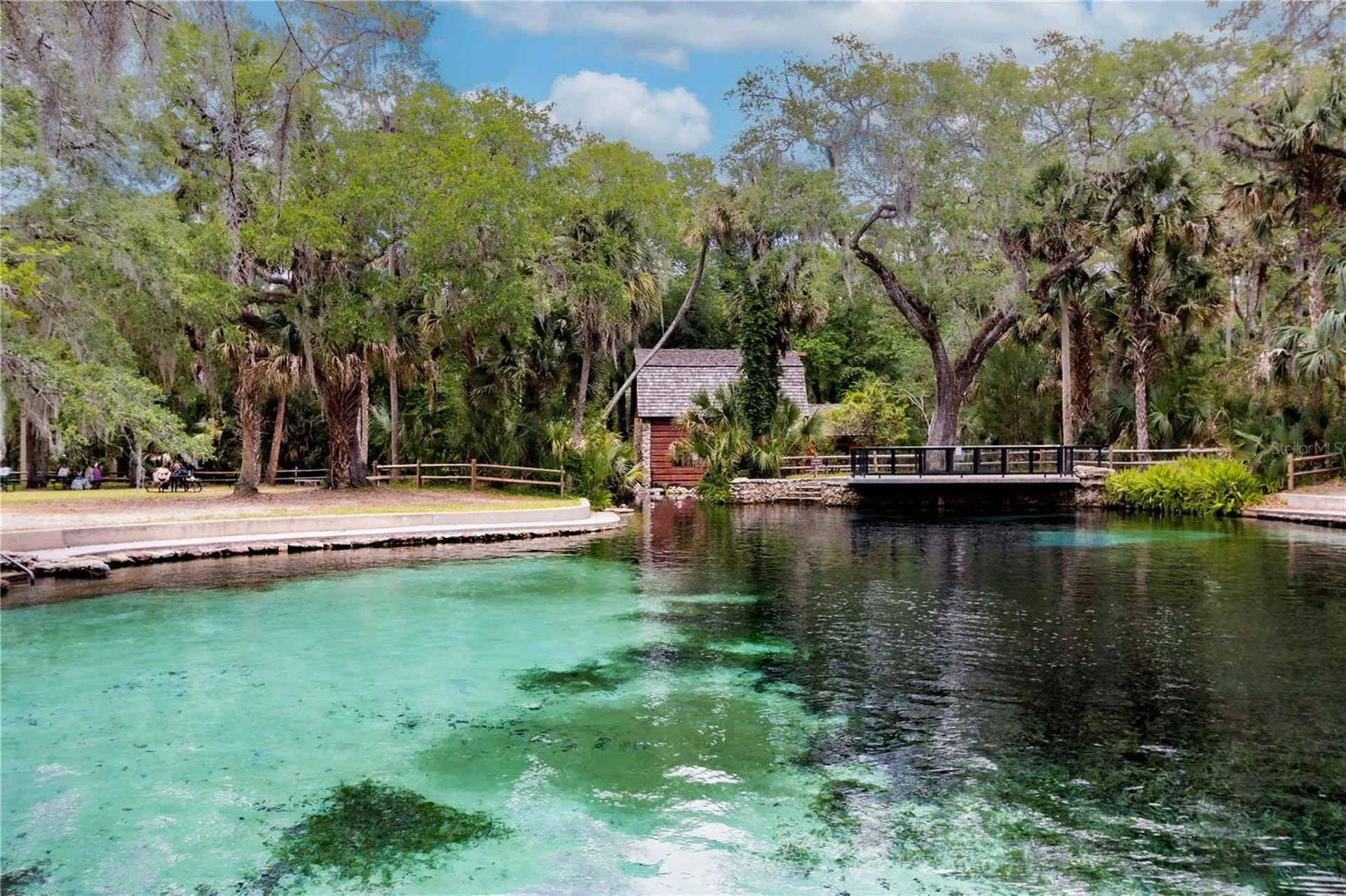 5860 SE 183rd Terrace Ocklawaha FL 32179