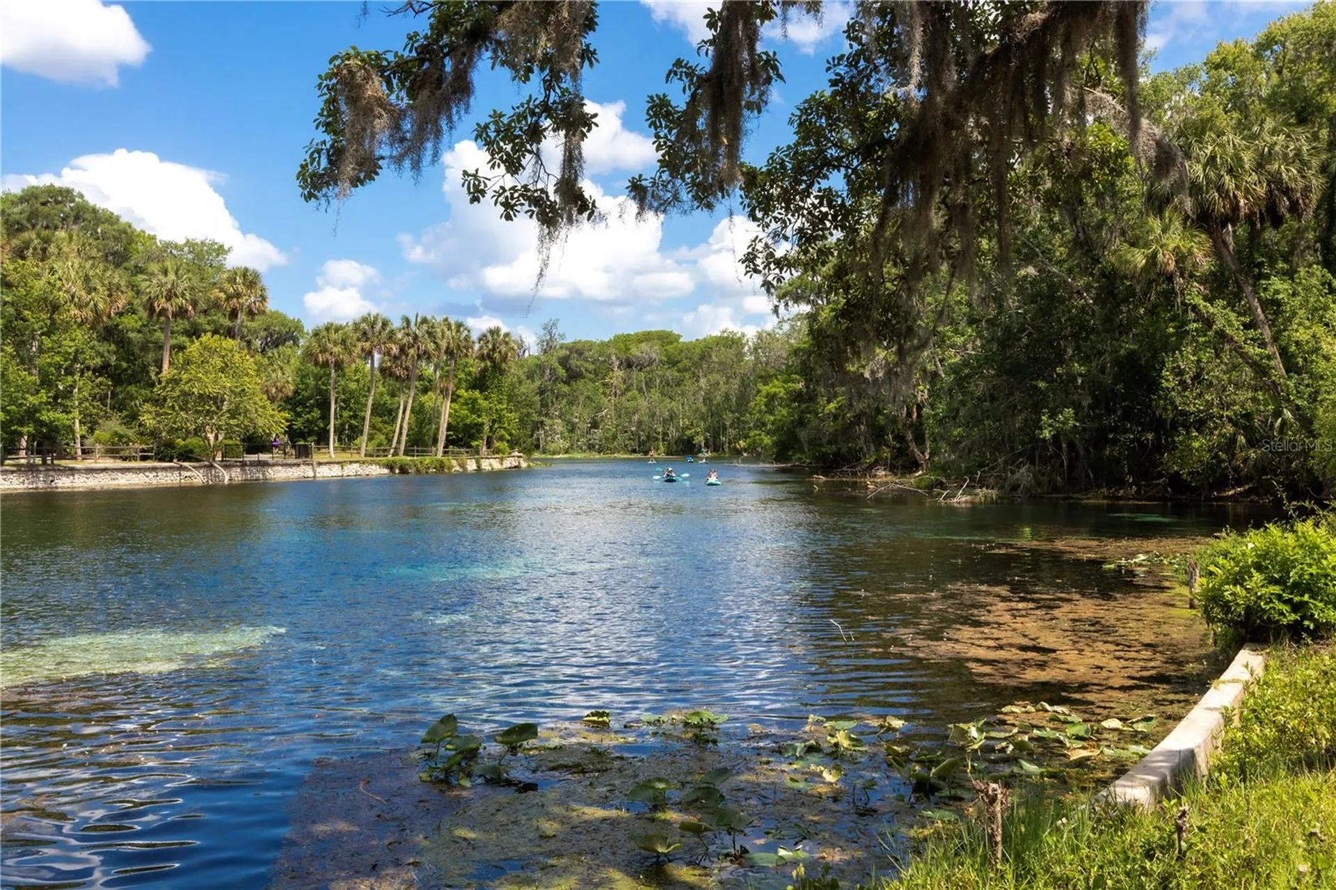 5860 SE 183rd Terrace Ocklawaha FL 32179