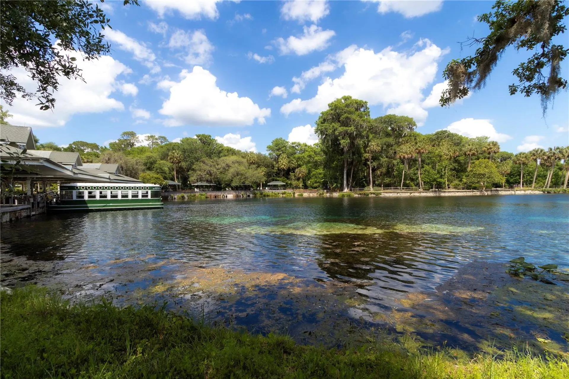 5860 SE 183rd Terrace Ocklawaha FL 32179