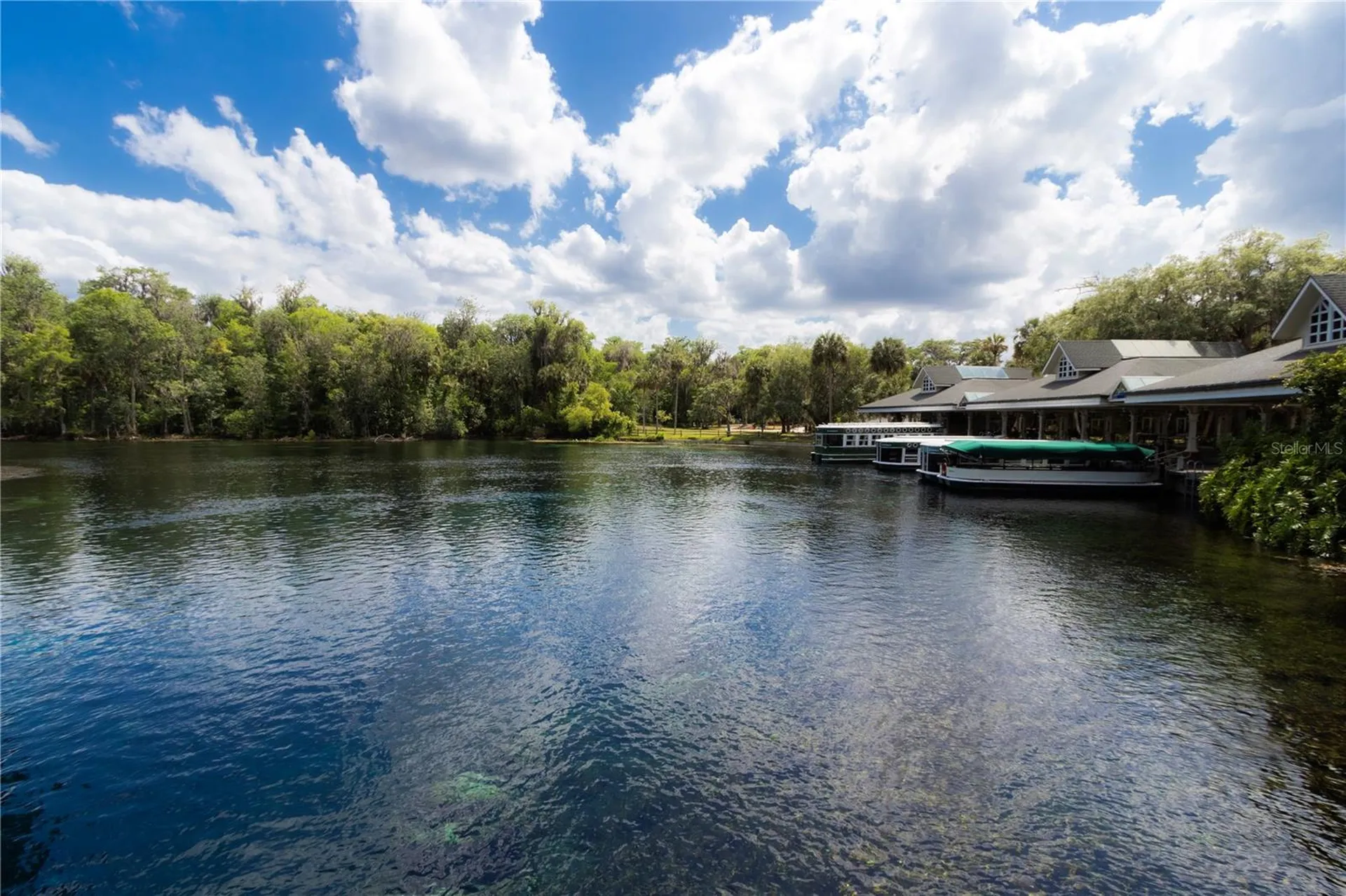 5860 SE 183rd Terrace Ocklawaha FL 32179