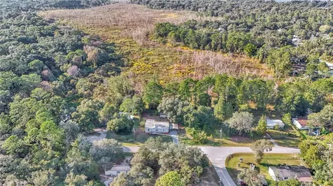 5860 SE 183rd Terrace Ocklawaha FL 32179