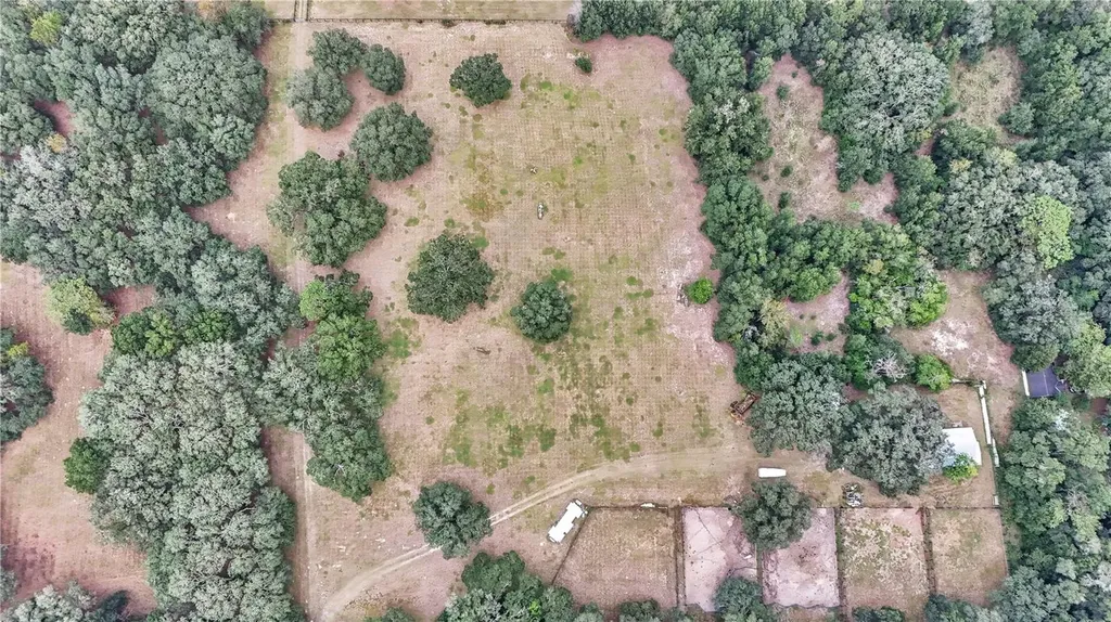 19597 SE 70th Lane Morriston FL 32668