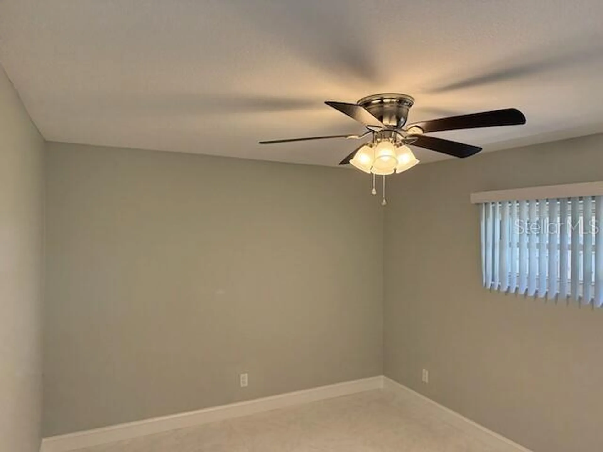 8401 Blackstone Court Tampa FL 33615