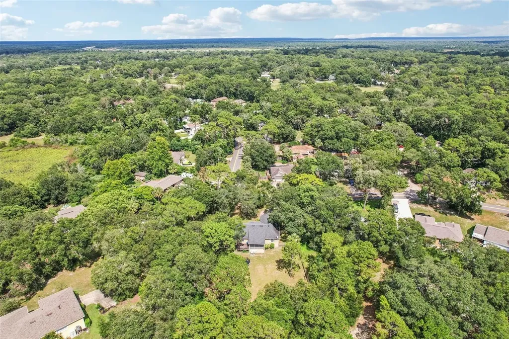31154 Lochmore Circle Sorrento FL 32776